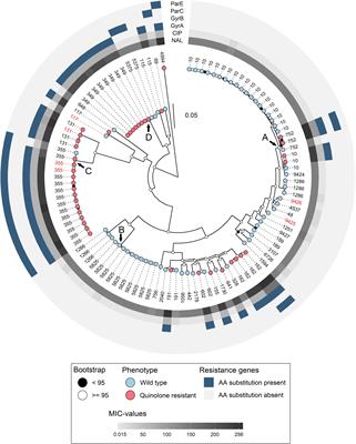 Comparative Genome Analyses of Wild Type- and Quinolone Resistant Escherichia coli Indicate Dissemination of QREC in the Norwegian Broiler Breeding Pyramid